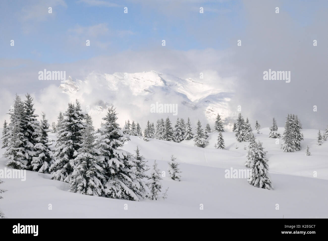 Alpine Landschaft nach Neuschnee, Les Contamines-Montjoie, Haute-Savoie, Frankreich, Februar 2013. Stockfoto