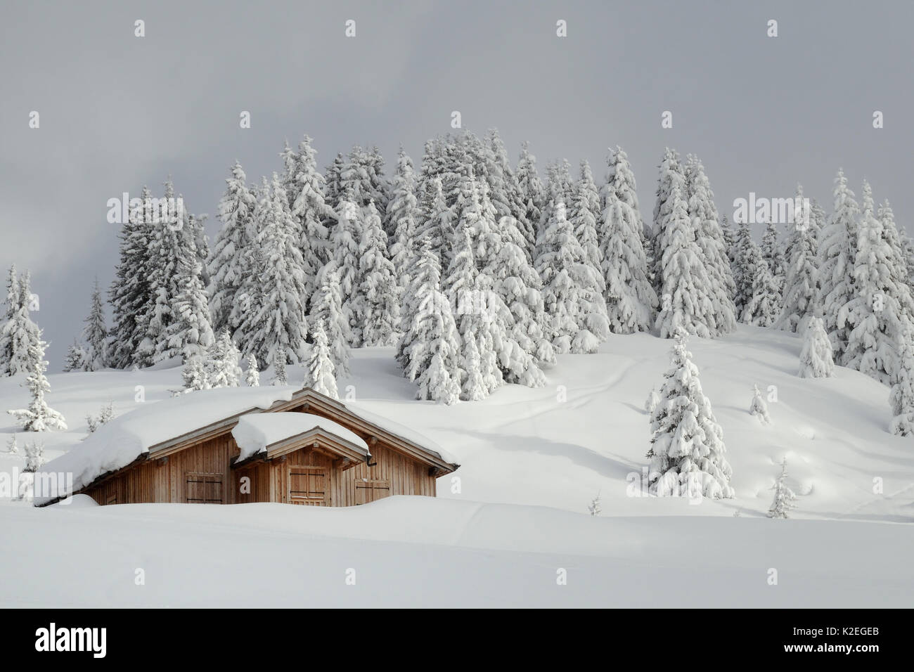 Alpine Chalet und Landschaft nach Neuschnee, Les Houches, Haute-Savoie, Frankreich, Februar 2013. Stockfoto