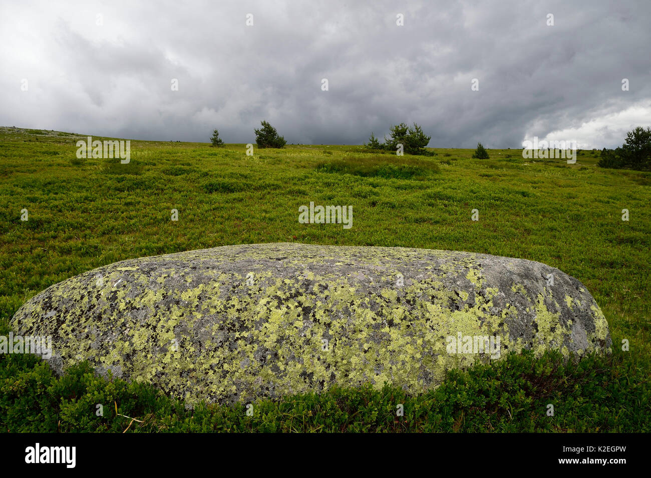 Landschaft auf Mont-Lozere, Cevennen, Frankreich, Juli. Stockfoto
