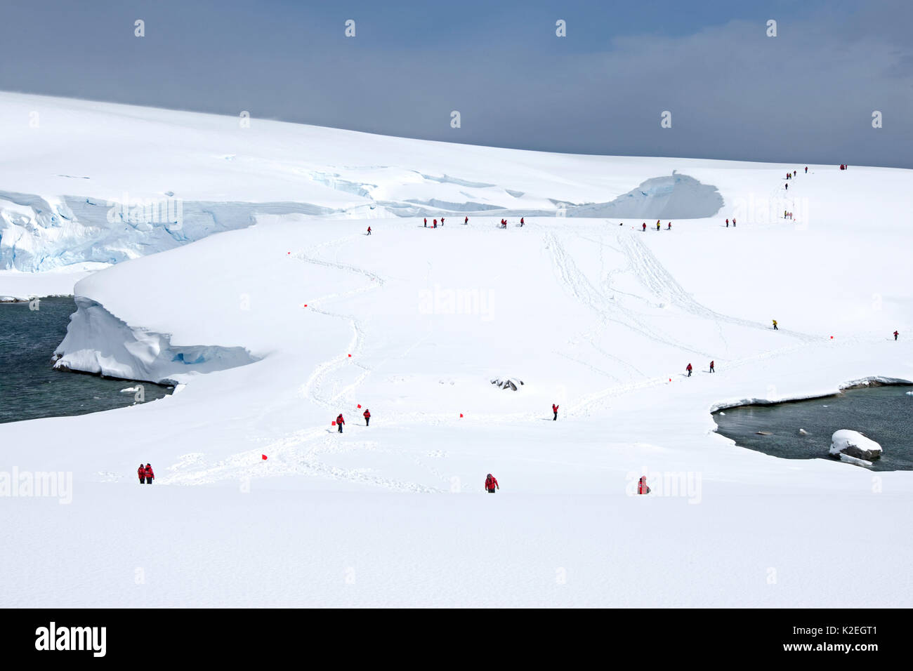 Touristen gehen auf Schnee Damm, Charlotte Bay, Portal, Antarktische Halbinsel, Antarktis. Dezember 2015. Stockfoto