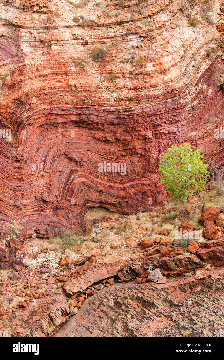 Gefalteten Gesteinsschichten an Hamersley Gorge Karijini National Park, Pilbarra, Western Australien, Dezember 2015. Stockfoto