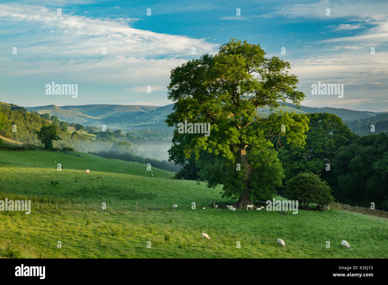 Edale in der Morgendämmerung, Spitzen District National Park, Debyshire, England, Großbritannien, Juli 2016. Stockfoto