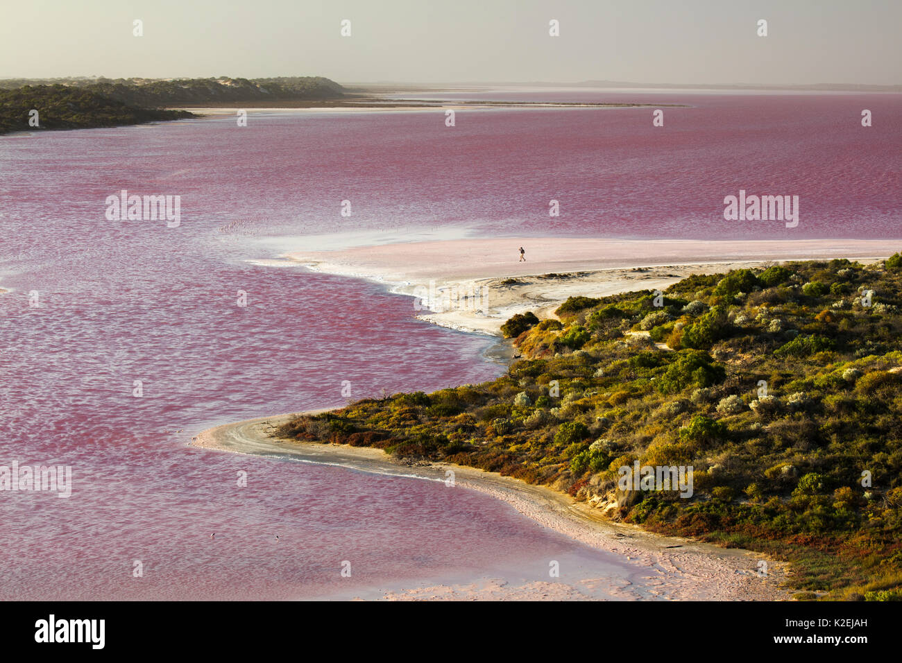 Frau zu Fuß an der Küste des Rosa Hutt Lagoon in Port Gregory, Western Australien, Dezember 2015. Stockfoto