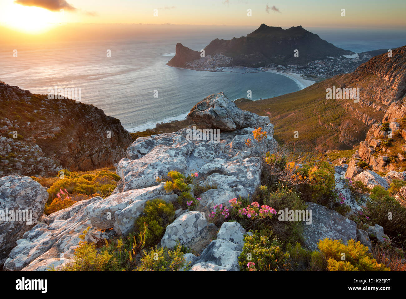 Hout Bay, vom Table Mountain National Park, Western Cape, Südafrika, Dezember 2014. Stockfoto