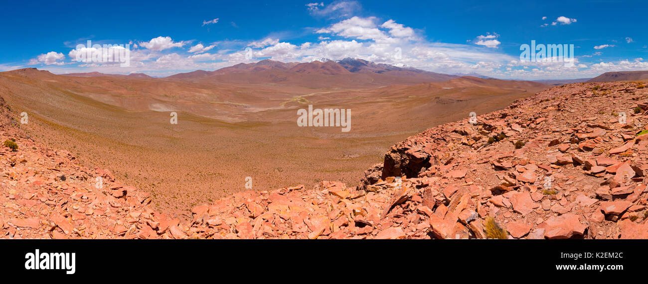 Robuste Bolivien Landschaft. Dezember 2016. Stockfoto