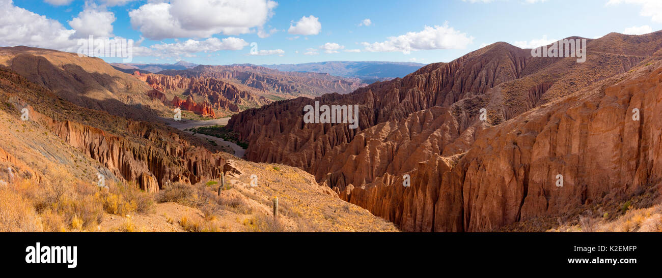 Zerklüftete Landschaft mit Rock Pinnacles. Bolivien. Dezember 2016. Stockfoto