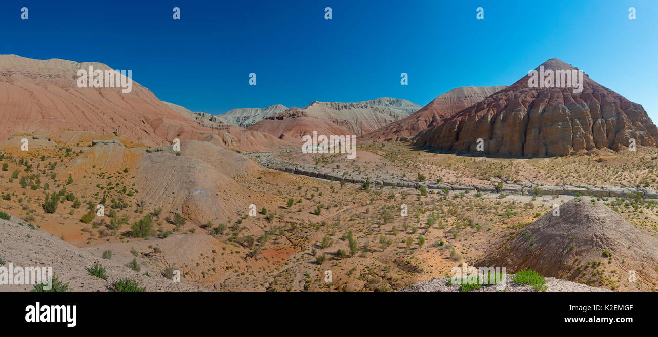 Farbige Felsen in Aktau Berge, Altyn Emel Nationalpark. Kasachstan. August 2016. Stockfoto