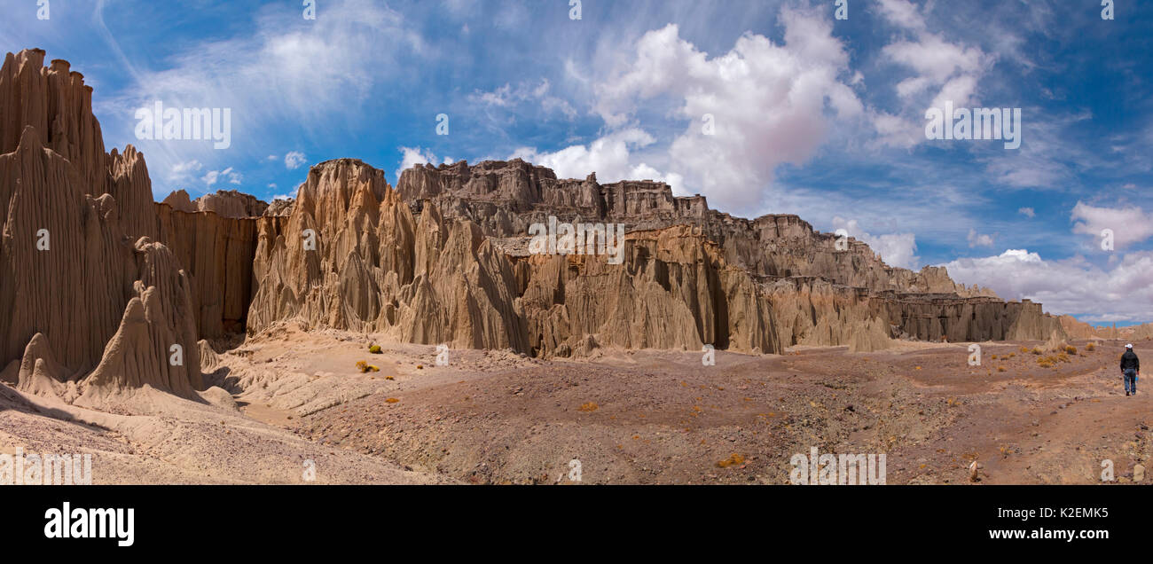 Die raue Landschaft, Bolivien. Dezember 2016. Stockfoto