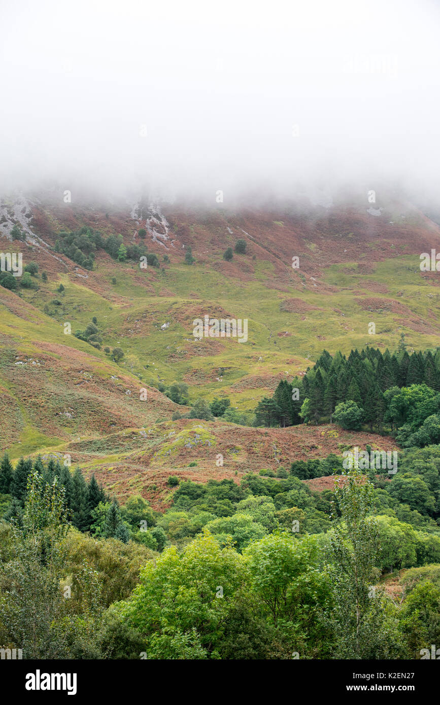 Wolke bilden dicker Nebel in absteigender Reihenfolge von der steilen Hang des Bidean nam Bian im Glen Coe, Argyll, Scottish Highlands, Schottland, UK, September 2016. Stockfoto