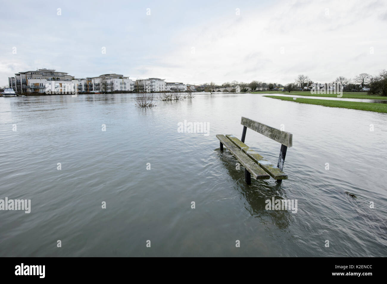 Bank im Park von Themse, Chertsey, Surrey, Großbritannien, Februar 2014 überflutet. Stockfoto