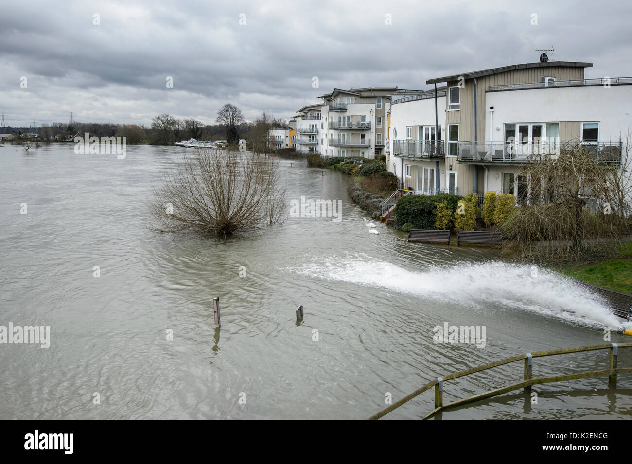 Gebäude entlang der überfluteten Fluss Themse, Chertsey, Surrey, Großbritannien, Februar 2014. Stockfoto