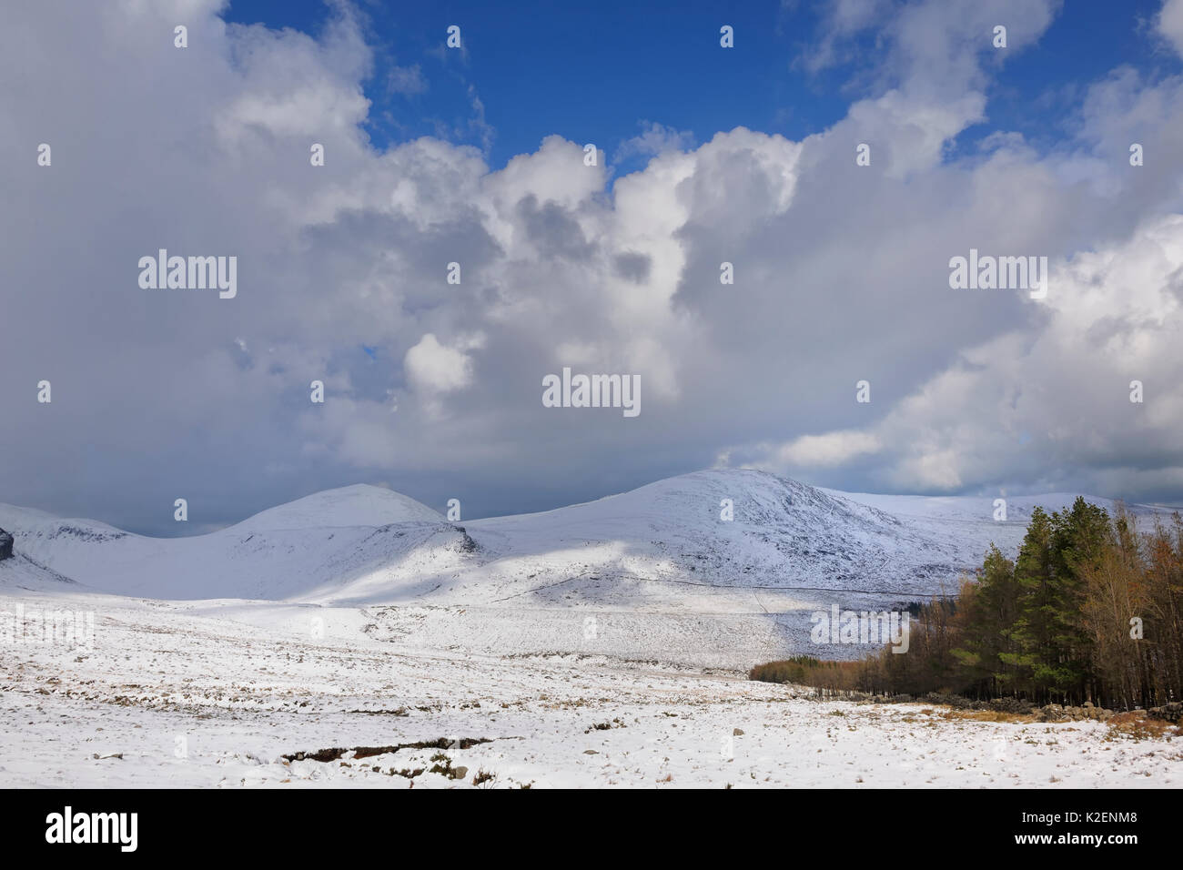 Ansicht der Slieve Donard und Rocky Mountains von annalong Holz, Mourne Mountains, County Down, Nordirland, Großbritannien. März 2013. Stockfoto