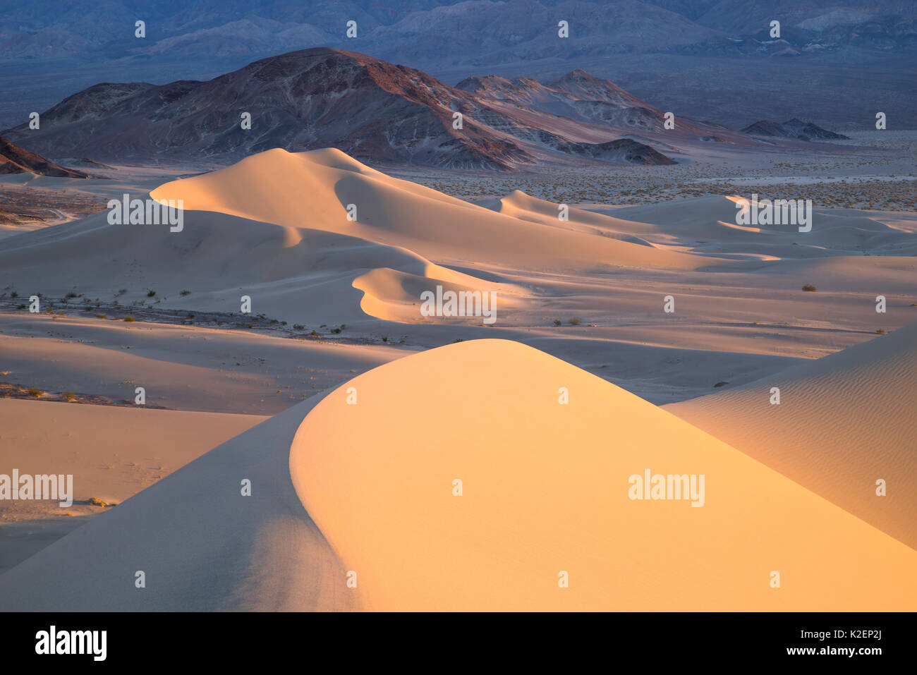 Sonnenuntergang auf den Dünen im Death Valley National Park, Kalifornien, USA, November 2014. Stockfoto