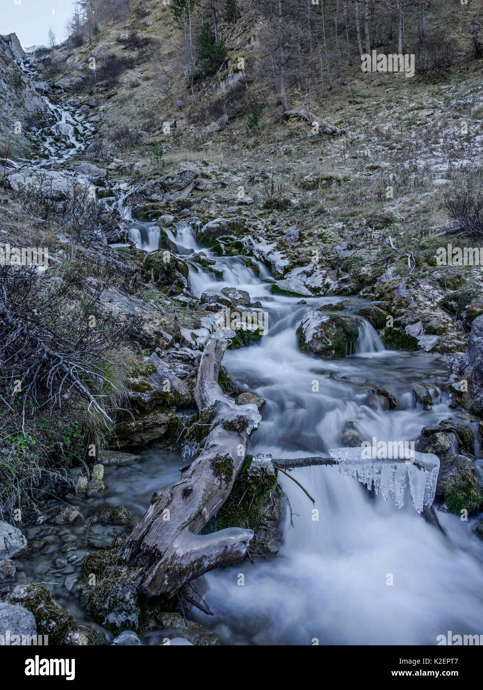 Eisiger Gebirgsbach, Val d&#39;Escreins, Queyras Regional Park, Hautes-Alpes, Frankreich, Oktober 2014. Stockfoto