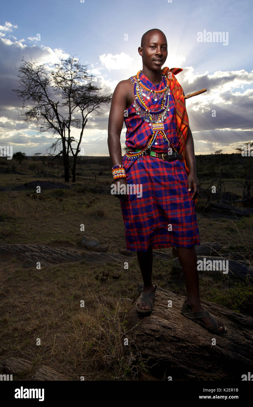 Masai Mann, Mara Region, Kenia, September 2013. Stockfoto