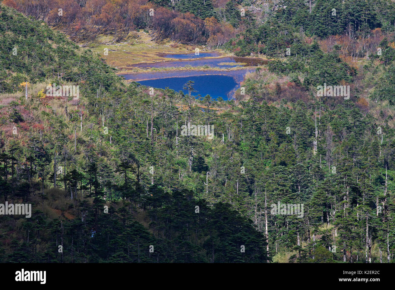 See und Wald in Meri Snow Mountain National Park, Provinz Yunnan, China, im Oktober 2009. Stockfoto