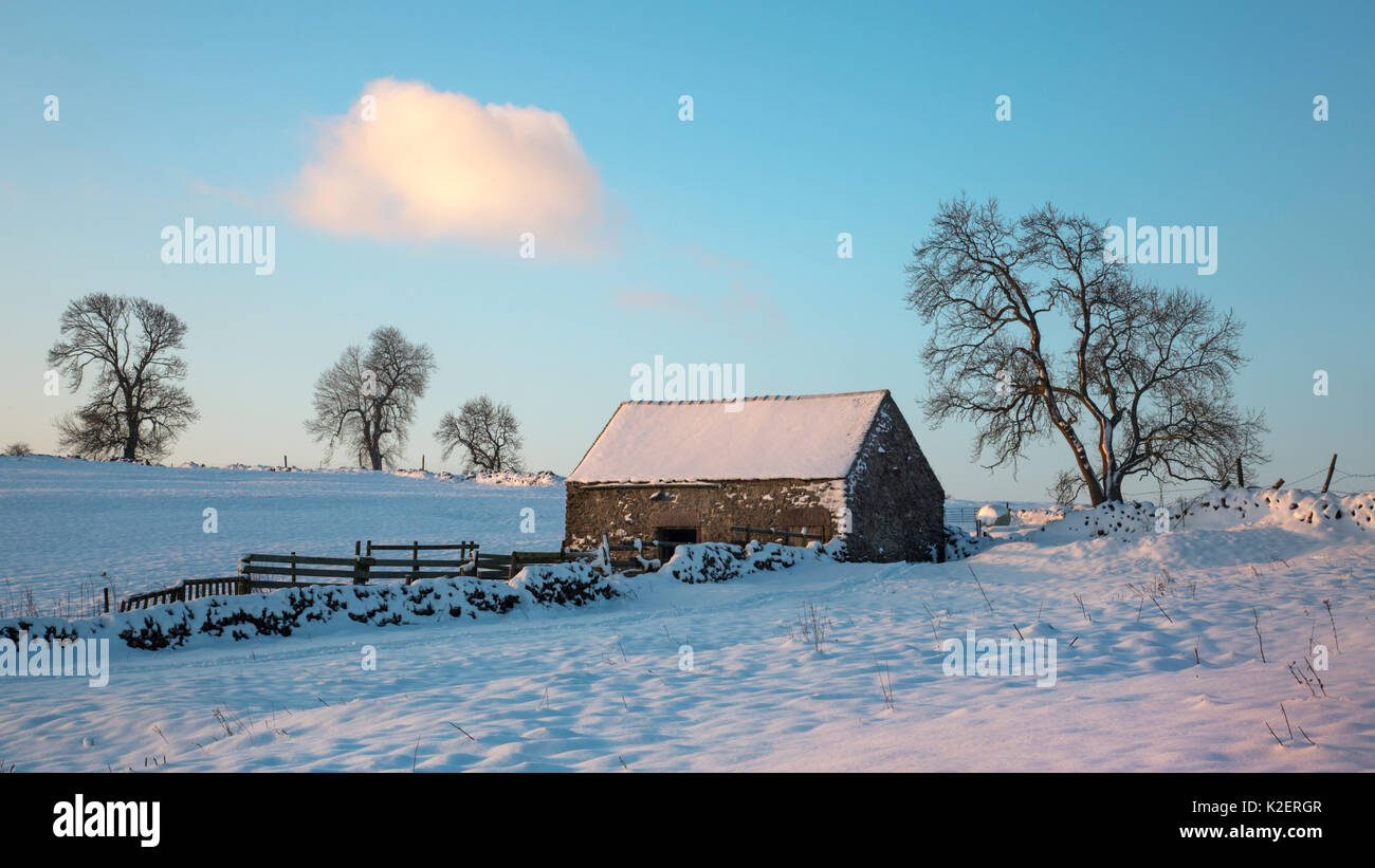 Scheune im Morgengrauen nach starkem Schneefall. Peak District National Park, Derbyshrie, UK. Dezember 2014. Stockfoto