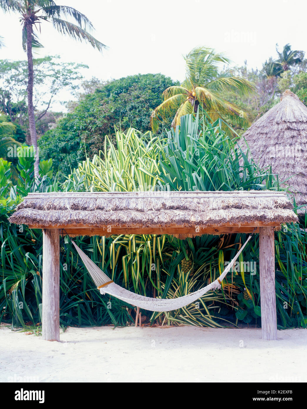 Eine leere Hängematte erwartet Sie Gast auf Young Island Resort. Kingstown, St. Vincent. Stockfoto