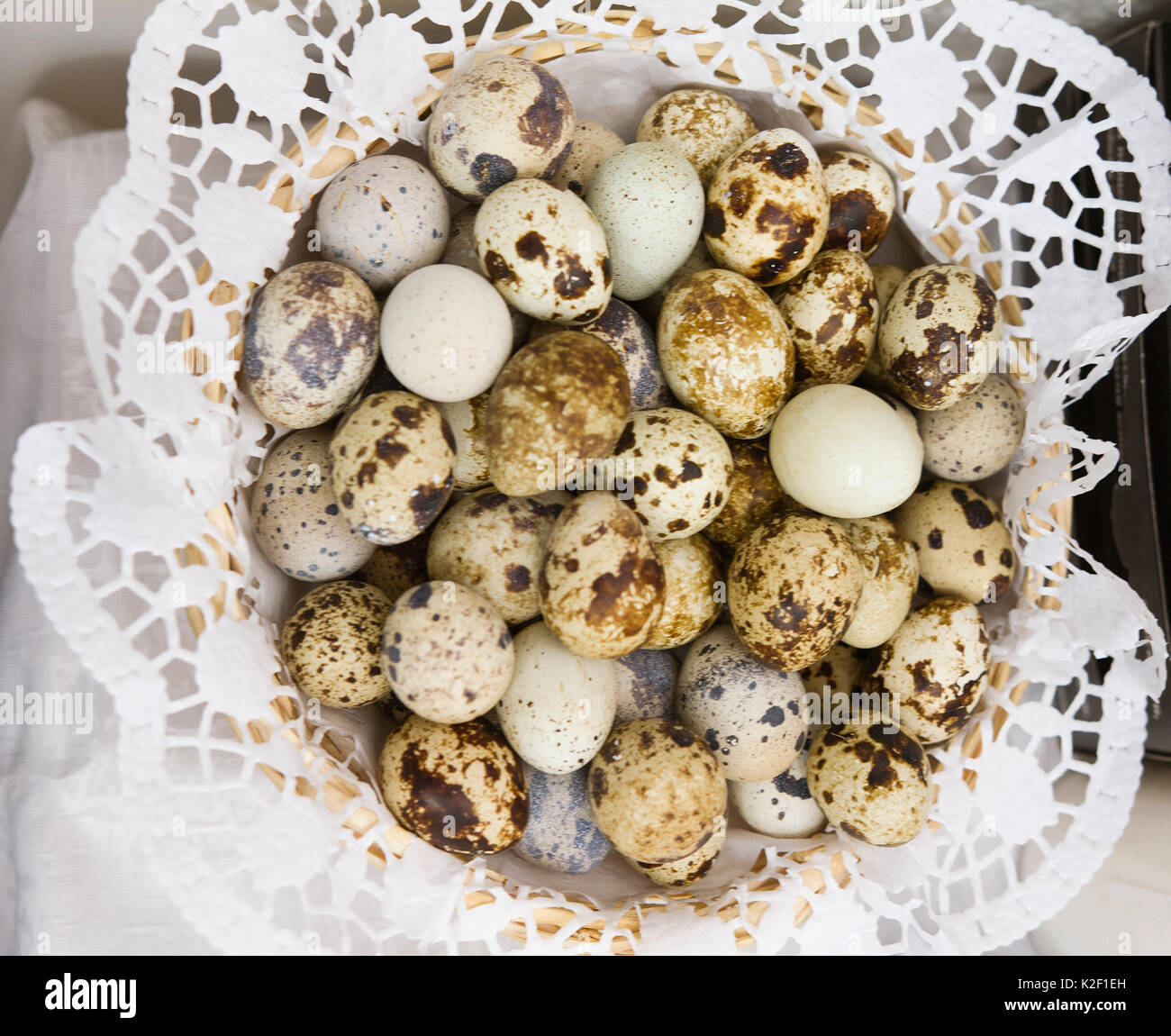 Wachteleier auf gestrickte Serviette-essen Hintergrund Stockfoto