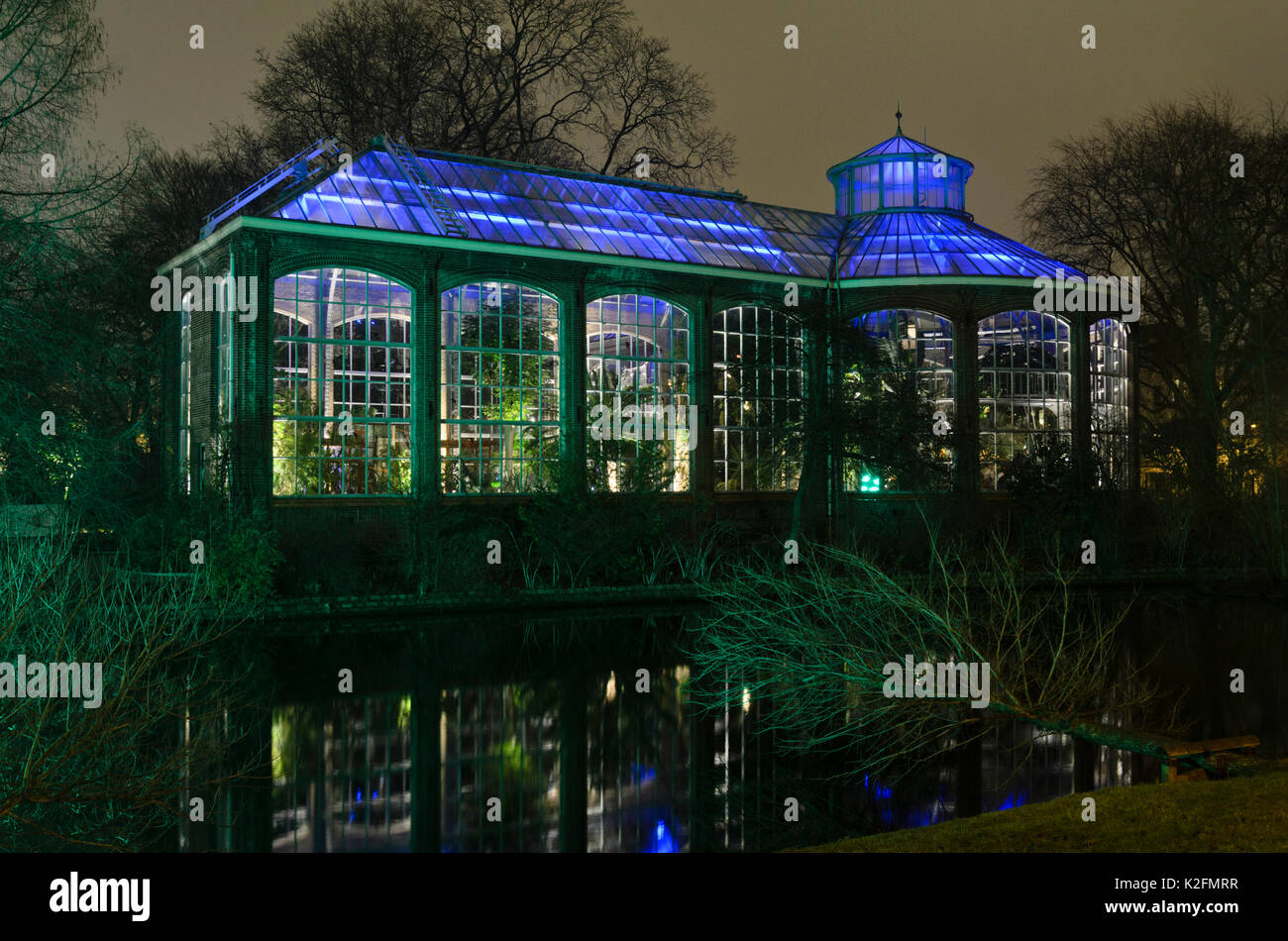Beleuchtete Gewächshaus an illuminade, Amsterdam, Niederlande Stockfoto