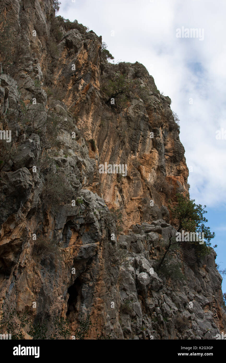 Kritsa Schlucht ist ein schmaler Kalkstein Canyon läuft in der Nähe der Stadt Kritsa durch den Kalkstein Berge von Kreta. Stockfoto