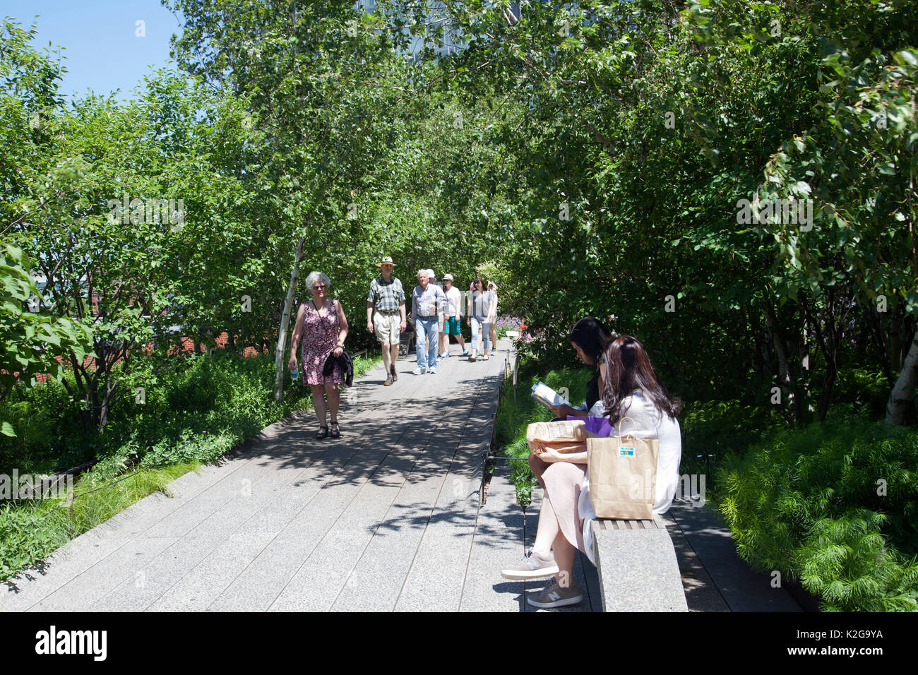 High Line Park Brücke in Lower Manhattan, New York - USA Stockfoto