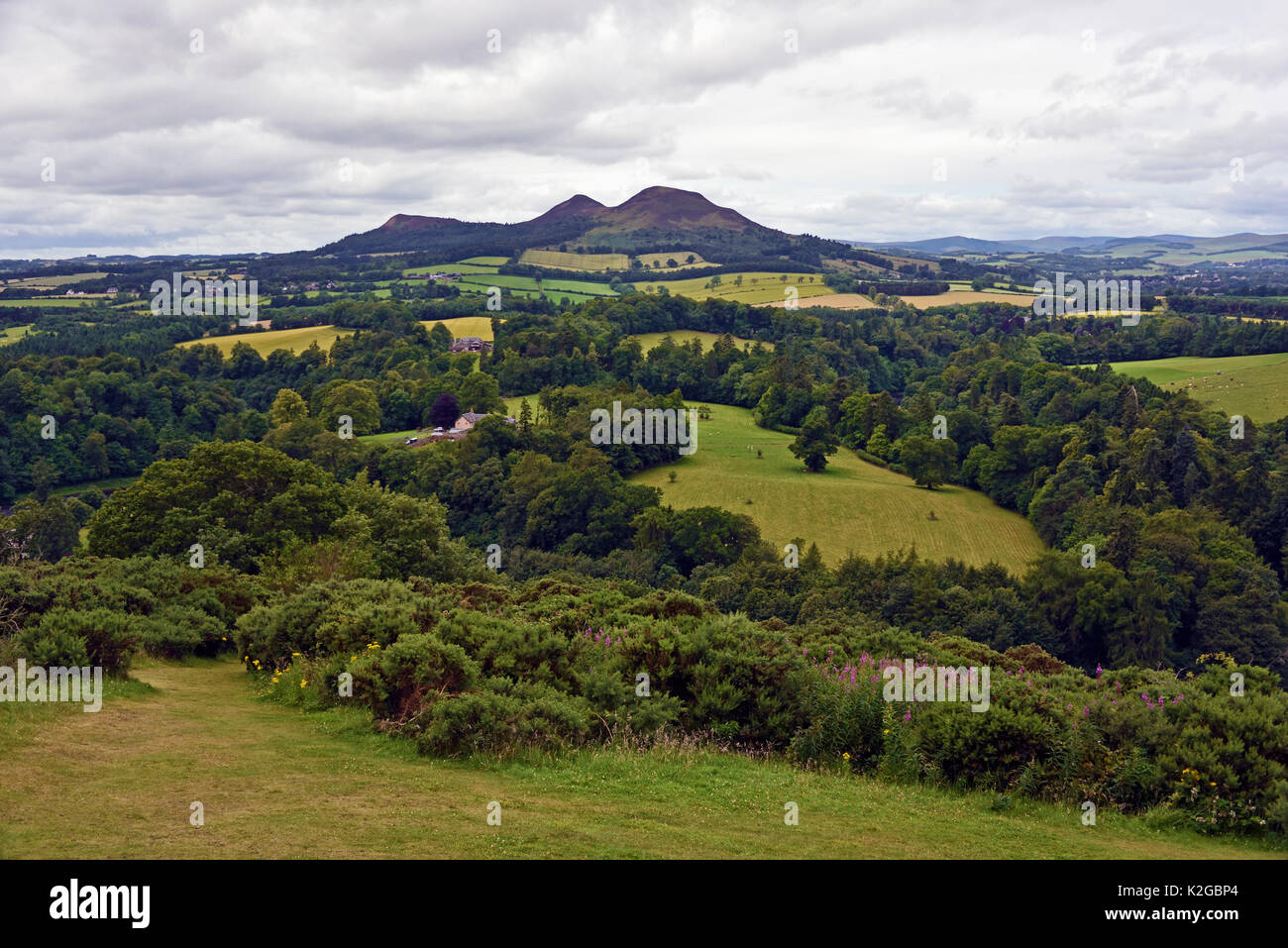 Scott's View". Bemersyde Hill, St. Boswells, Scottish Borders, Berwickshire, Schottland, Großbritannien, Europa. Stockfoto