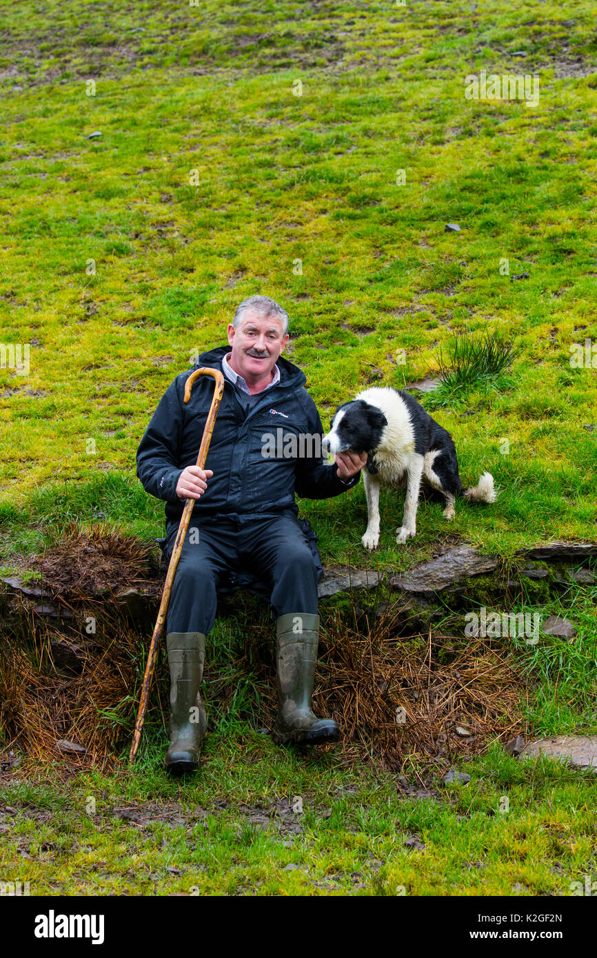 Bauer auf Schäferhund Versuch in Caitins, Kells, Ring of Kerry, die Iveragh Halbinsel, County Kerry, Irland, Europa. September 2015. Stockfoto