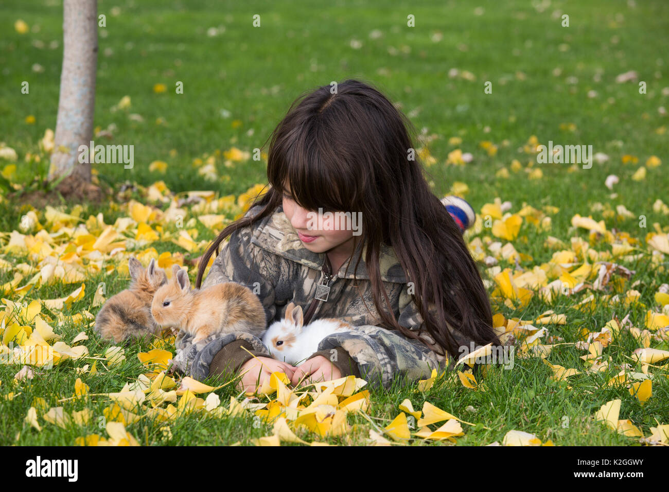 9-Jähriges Mädchen mit mixed-Rasse Kaninchen Babys; Higganum, Connecticut, USA. Model Released. Stockfoto