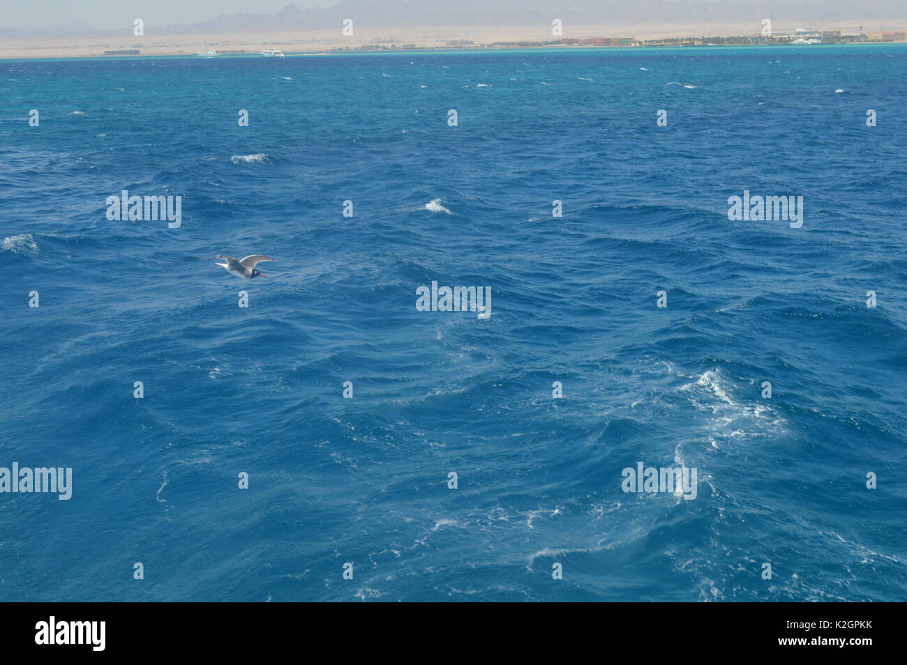 Liebe hurghada Fotos und Bildmaterial in hoher Auflösung Alamy