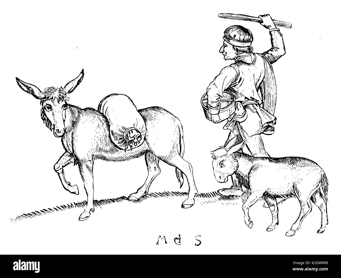 Mann und Esel auf dem Weg zur Mühle Faksimile der Kupferstich von Martin Schongauer (nach 1420-1499) Stockfoto