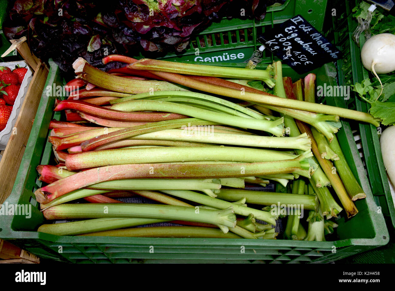 Marktstand mit Garten Rhabarber Stockfoto