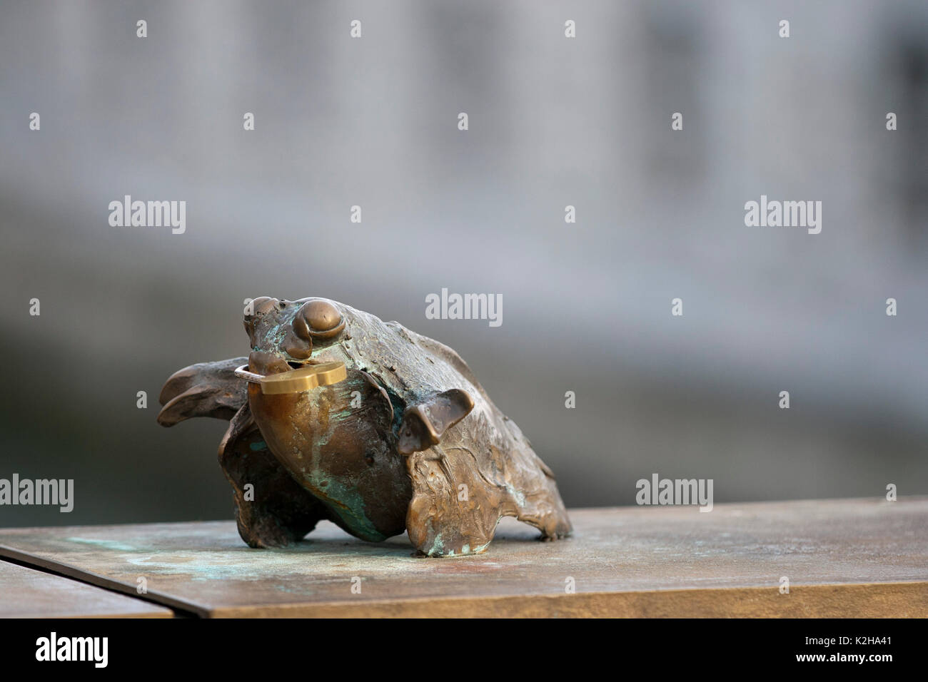 Frosch Stockfoto