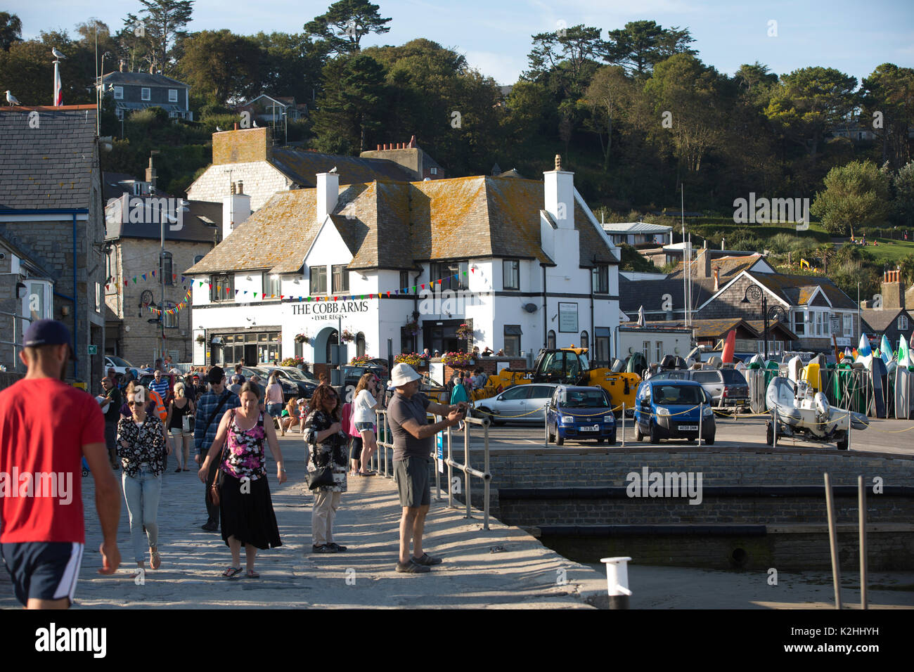 Lyme Regis, antike Stadt im Domesday Book empfohlene, mit historischen Cobb und Hafen Wahrzeichen an der Dorset, Devon, Südwest-England, Großbritannien Stockfoto