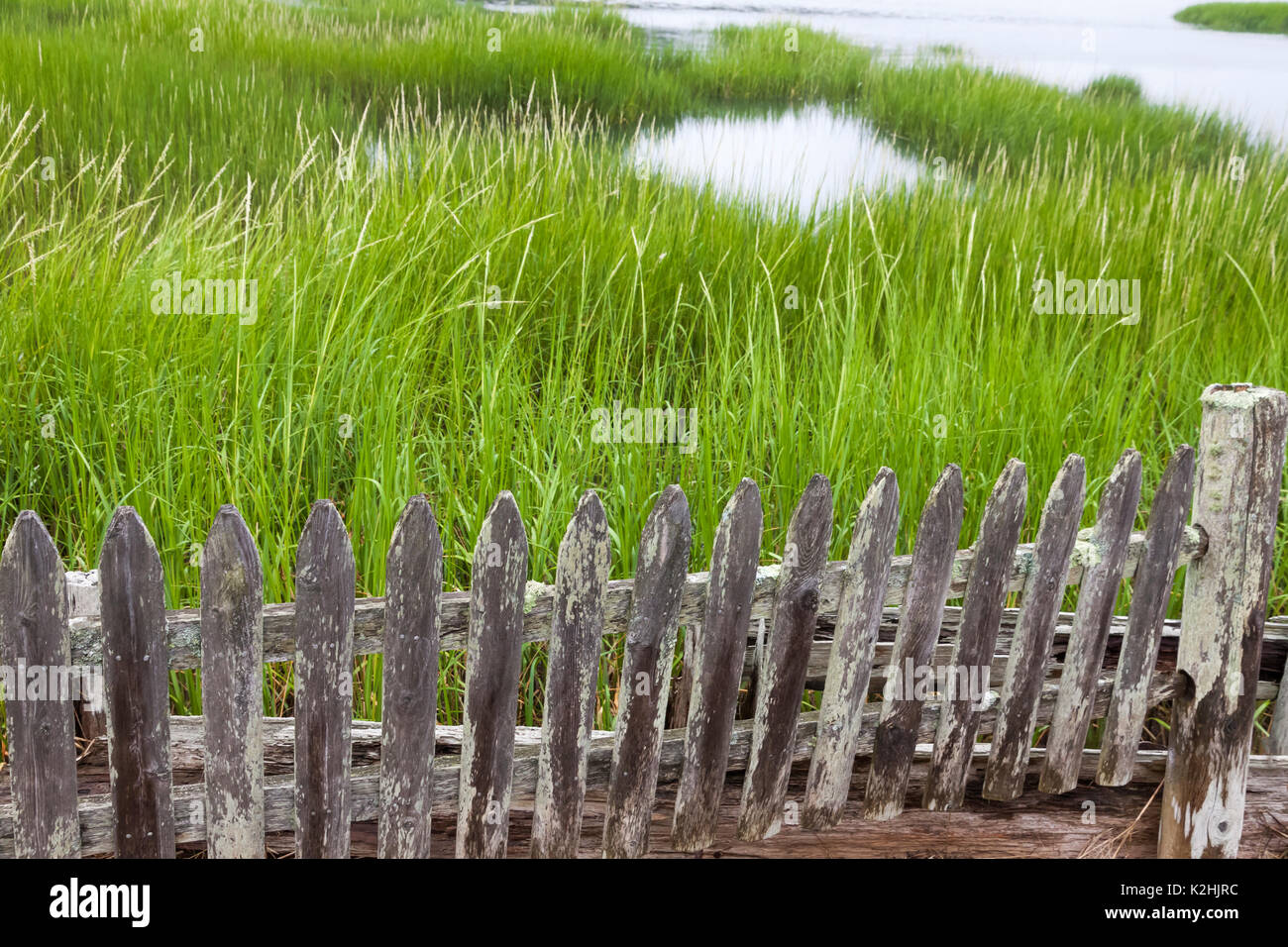 Ein lattenzaun teilt Immobilie von einem tidal Salzwiesen. Stockfoto