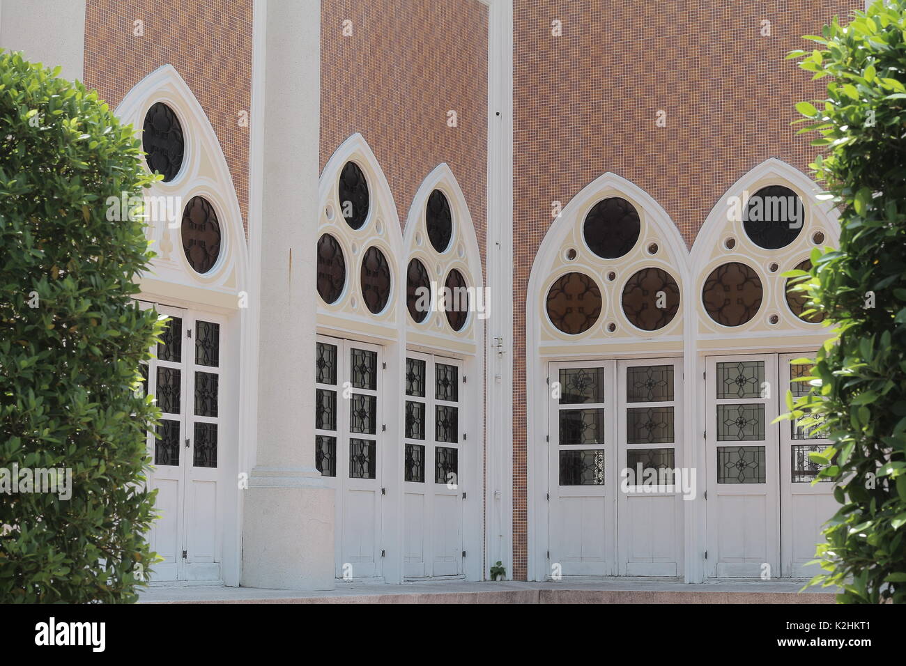 Islamische design Windows Spiegel und grünen Zweig der Baumstruktur Stockfoto