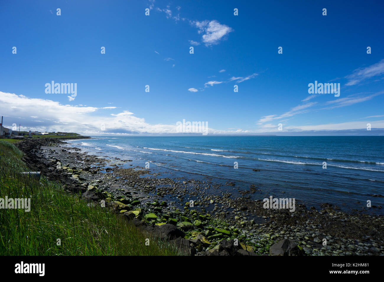 Island - grünes Moos bedeckt Steine am Strand von blonduos mit perfekter sonniges Wetter Stockfoto