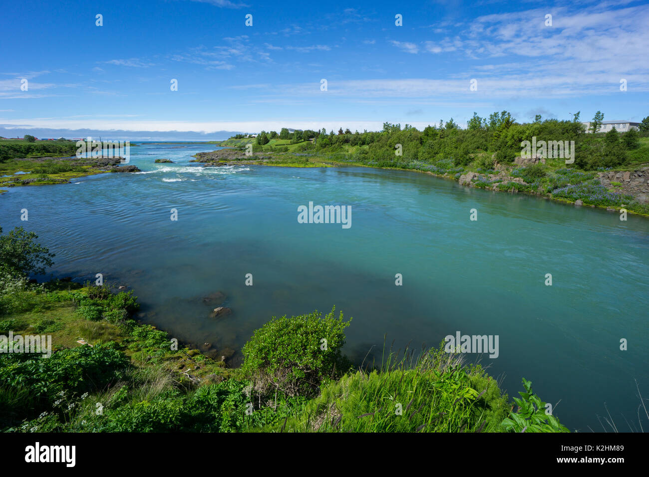 Island - türkis-grüne Wasser des Flusses zwischen grünen Pflanzen in den Ozean fließt Stockfoto