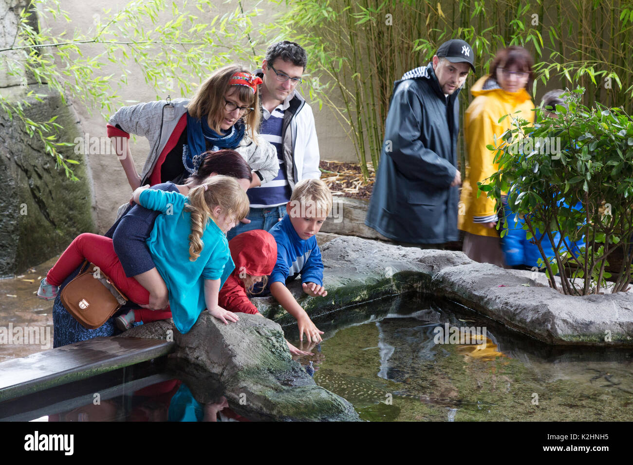 Eine Familie mit Erwachsenen und Kindern an Fisch im großen Aquarium Saint Malo (St Malo Aquarium), St Malo, Bretagne Frankreich Stockfoto