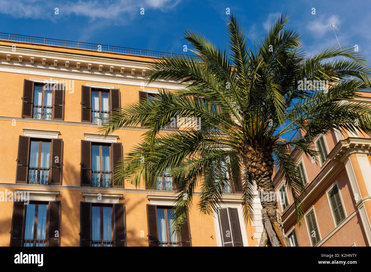 Palmen an der Piazza di Spagna in Rom, Italien Stockfoto