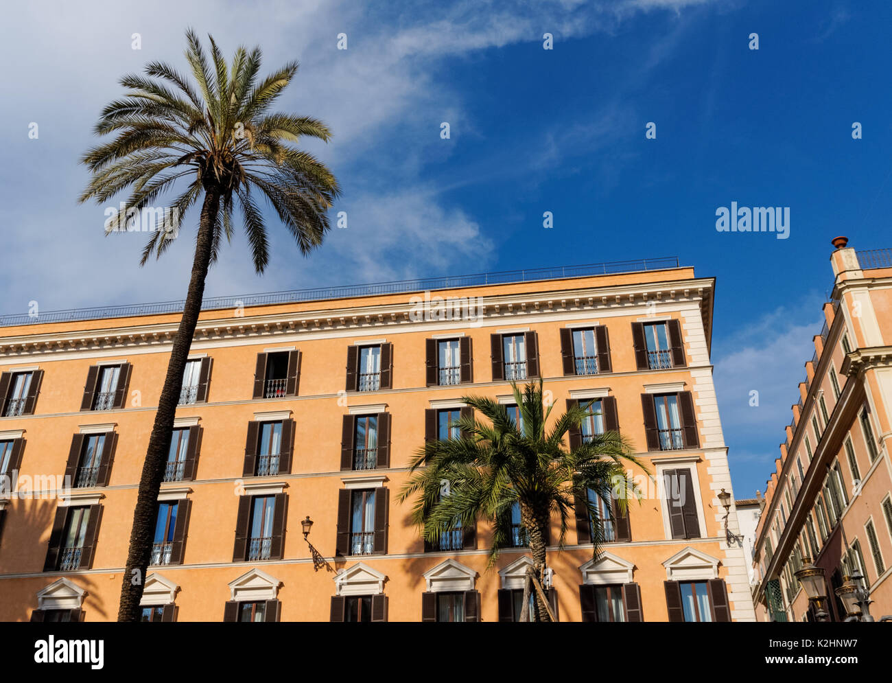 Palmen an der Piazza di Spagna in Rom, Italien Stockfoto