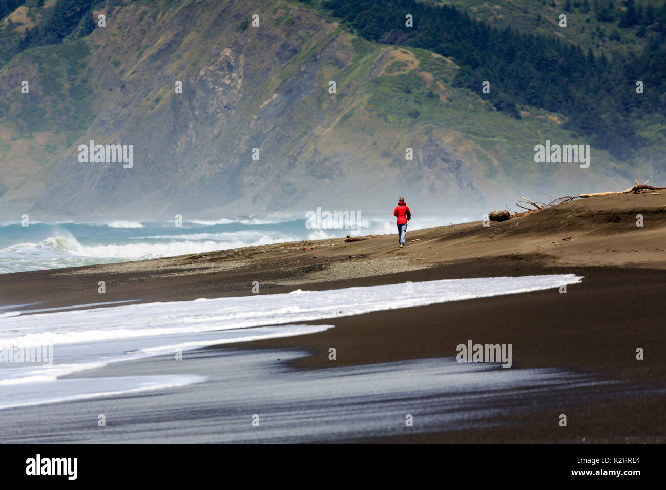 Nahaufnahme von Schaum und Meerwasser, die mit der Flut auf der schattigen Lost Coast Stockfoto