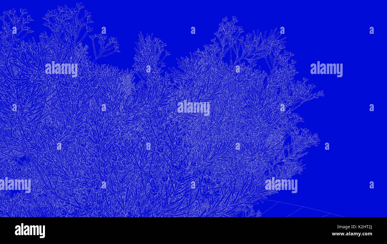 3D-Rendering von einer weißen umrissen Baum auf einem blauen Hintergrund Stockfoto