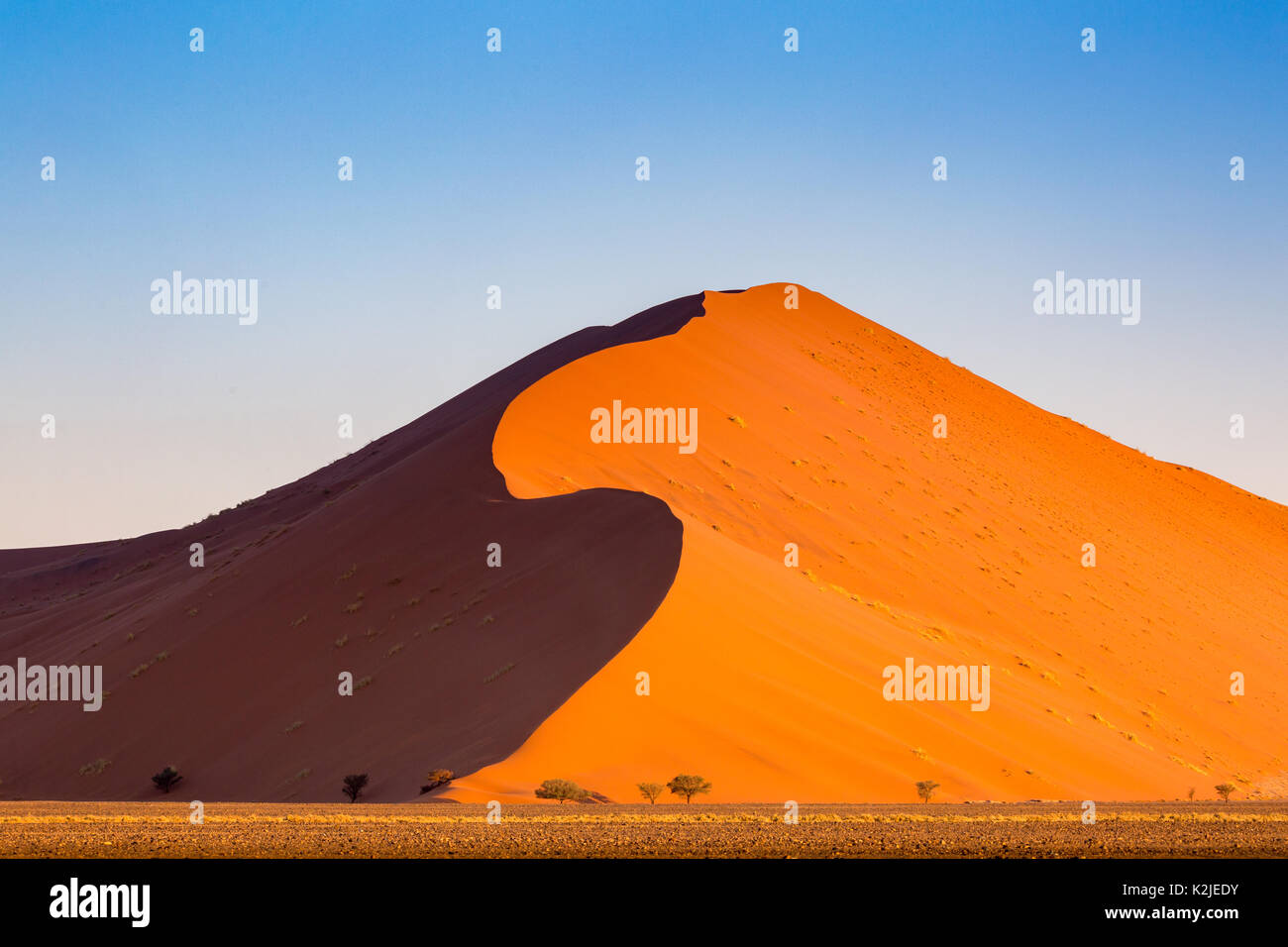 Namibwüste, Sossusvlei. Sanddünen bei Sonnenuntergang, Namibia, Afrika Stockfoto