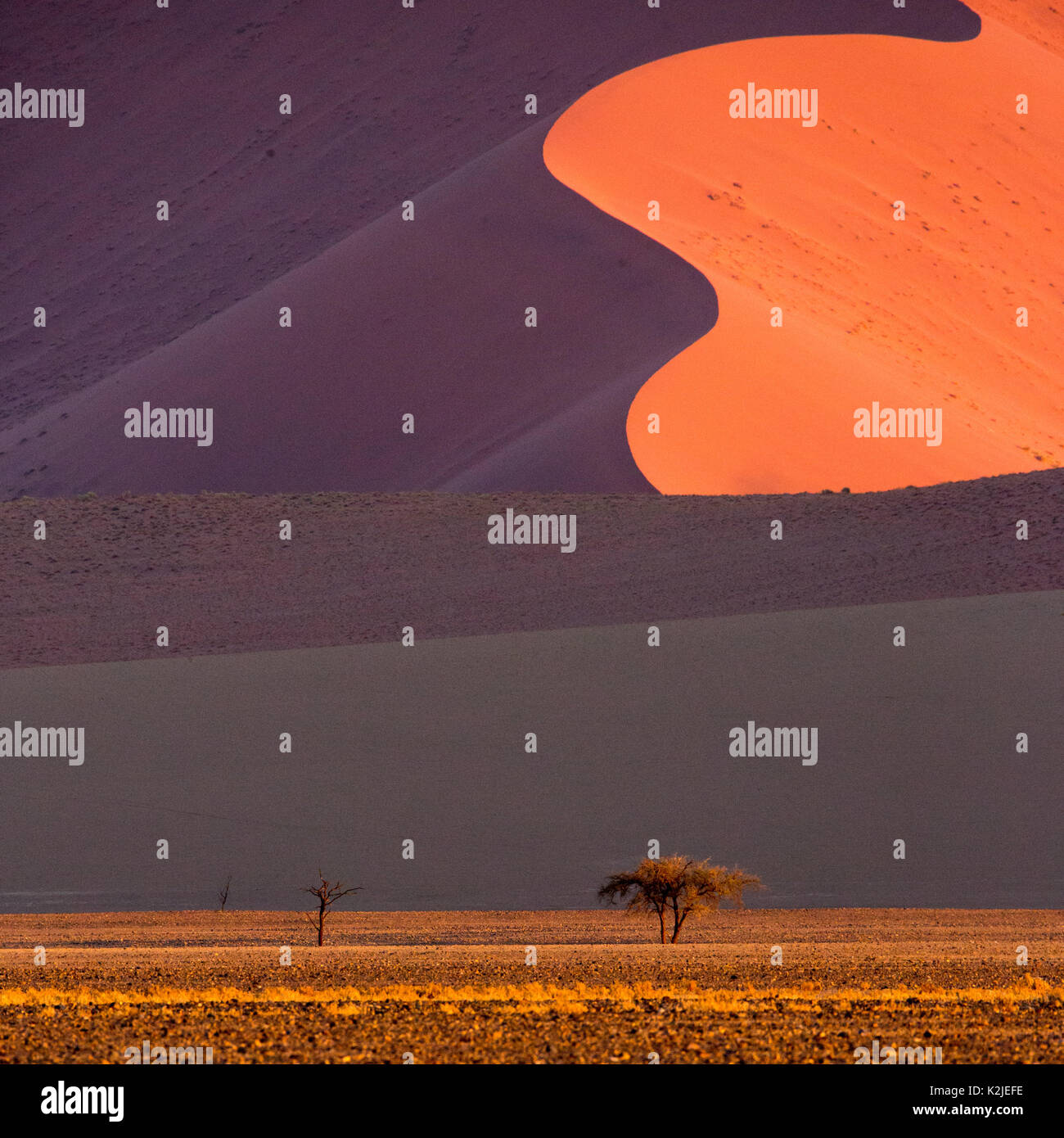 Namibwüste, Sossusvlei. Sanddünen bei Sonnenuntergang, Namibia, Afrika Stockfoto