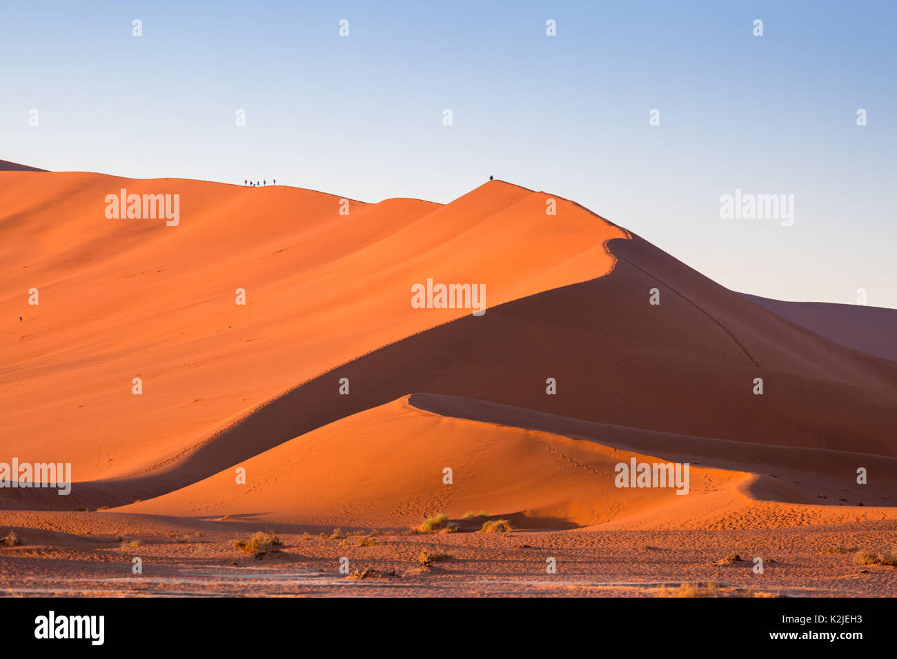 Klettern Big Daddy Düne in der Namib Wüste, Sossusvlei. Sanddünen bei Sonnenaufgang, Namibia, Afrika Stockfoto