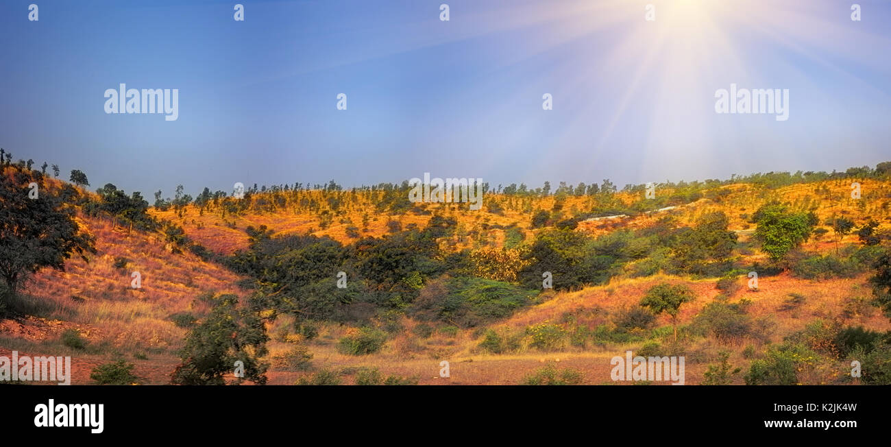 Die welligen Vorberge der Dekkan-plateau mit Gräsern und Akazien bewachsen. Winter - Frühling übergang Stockfoto