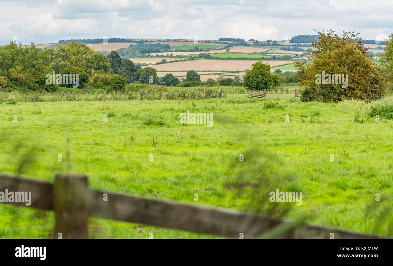 Blick auf den South Downs über Felder in der Landschaft in Arundel, West Sussex, England, UK. Stockfoto