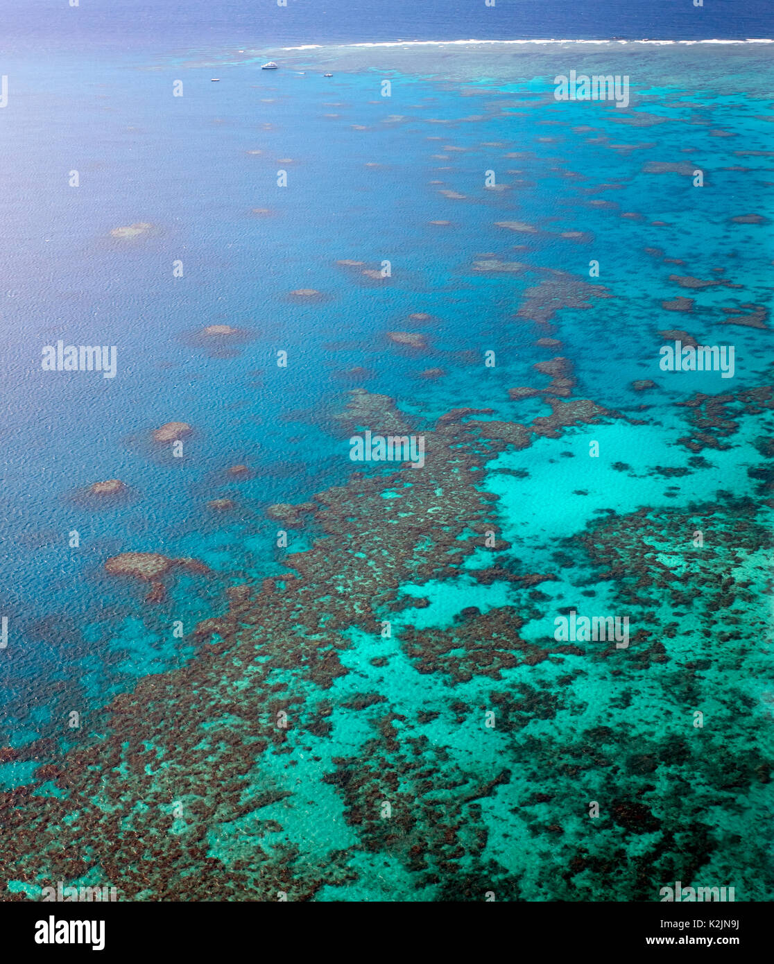 Luftaufnahme von Hastings Reef, Cairns, Queensland, Australien Stockfoto
