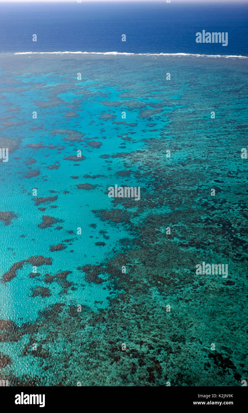 Luftaufnahme von Hastings Reef, Cairns, Queensland, Australien Stockfoto